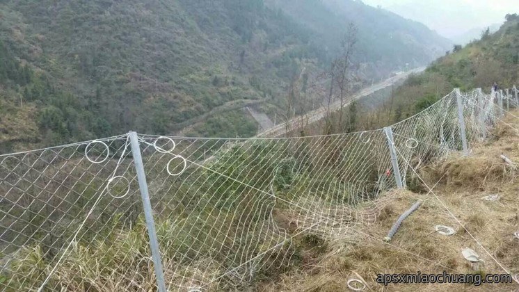 被动防护网（菱形网）