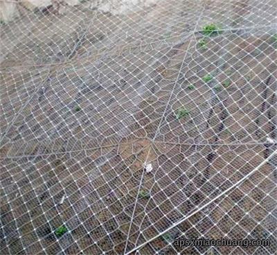 谈一下成都边坡防护网的美化效果