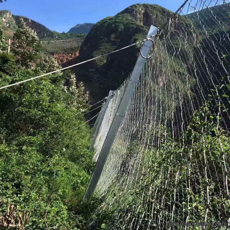 被动防护网（绞索网）